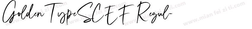 GoldenTypeSCEF Regul字体转换